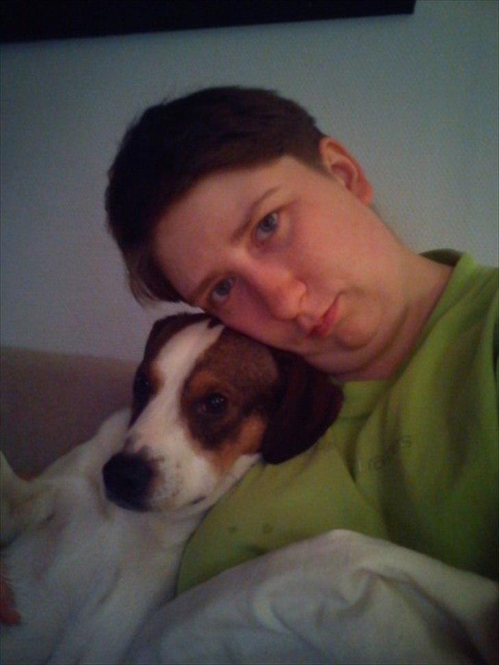 Blanding af racer Diego - Velkommen ind i familien Diego. billede 3