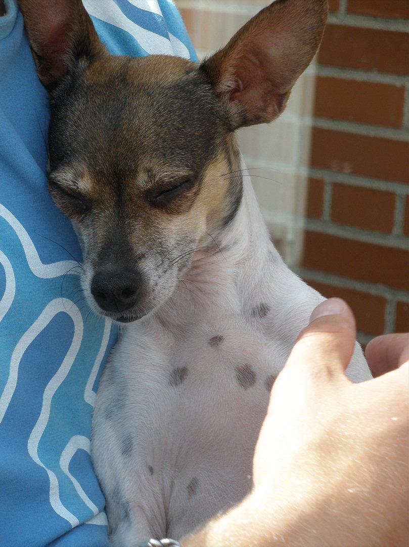 Blanding af racer Gucci <3 billede 2