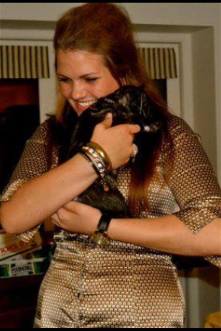 Fransk bulldog Ferdinan "Pumba" billede 8