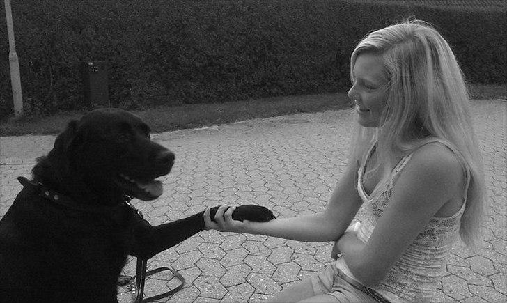 Blanding af racer baloo billede 2