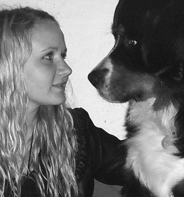 Berner sennenhund Walter - Walter og mig. DEJLIG hund! billede 1