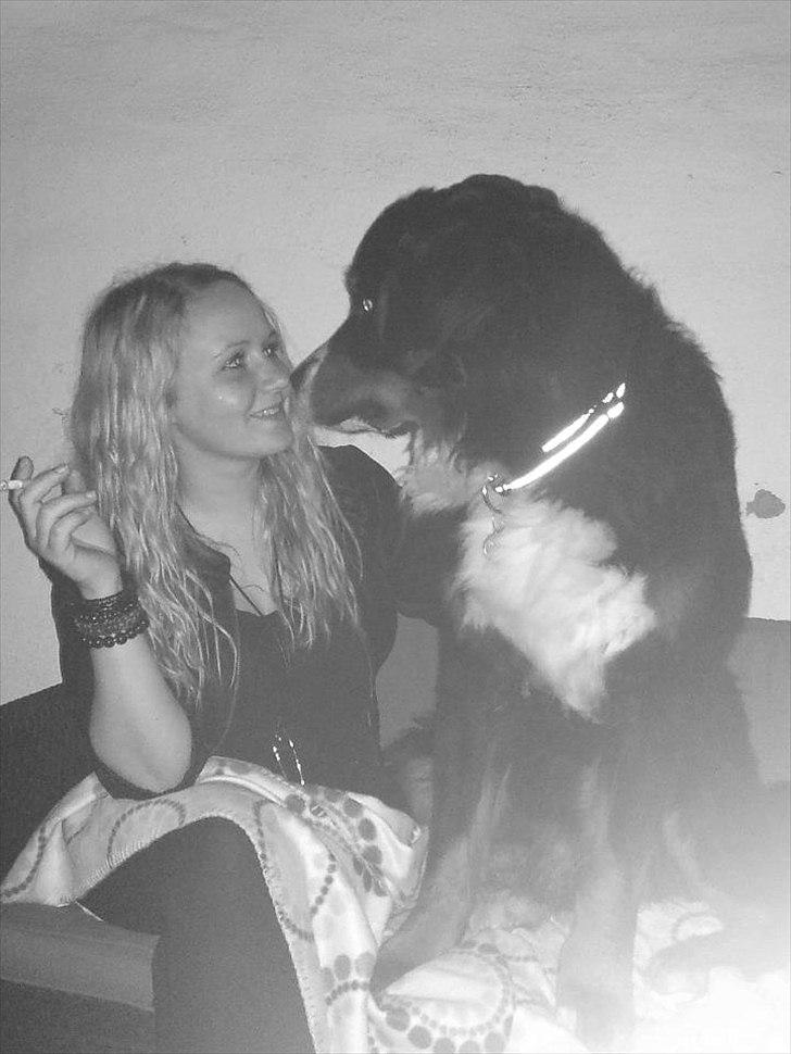 Berner sennenhund Walter - Walter (1 år og 7 mdr) og mig :) billede 16