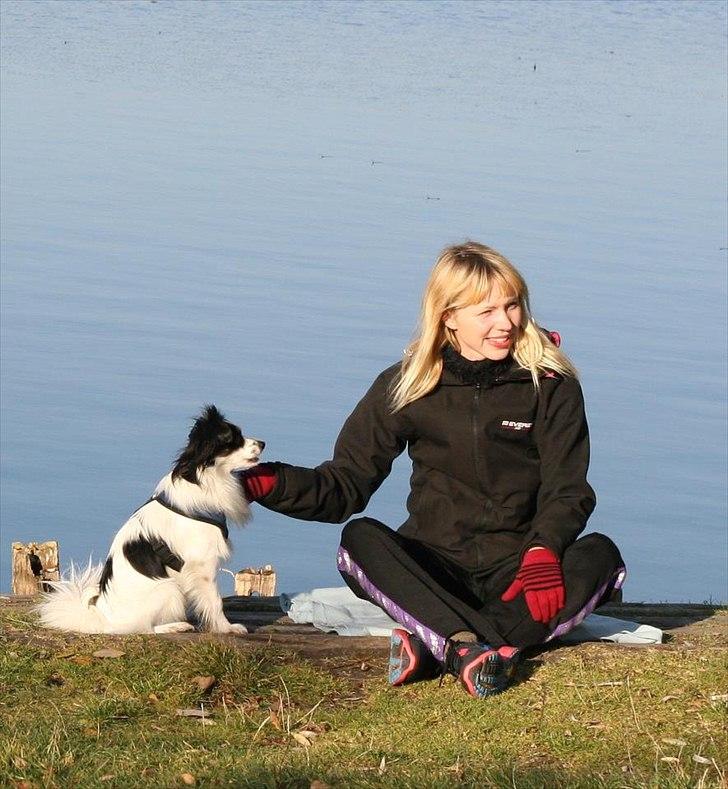 Blanding af racer Chico - Chico, oktober 2011 billede 4