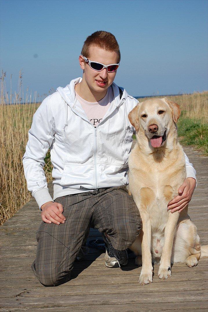 Blanding af racer *zero Sugar* billede 2