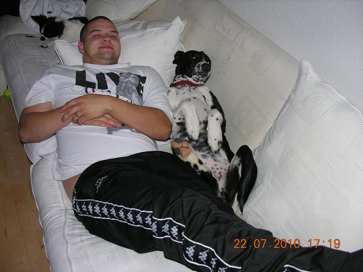 Blanding af racer Alberte billede 11