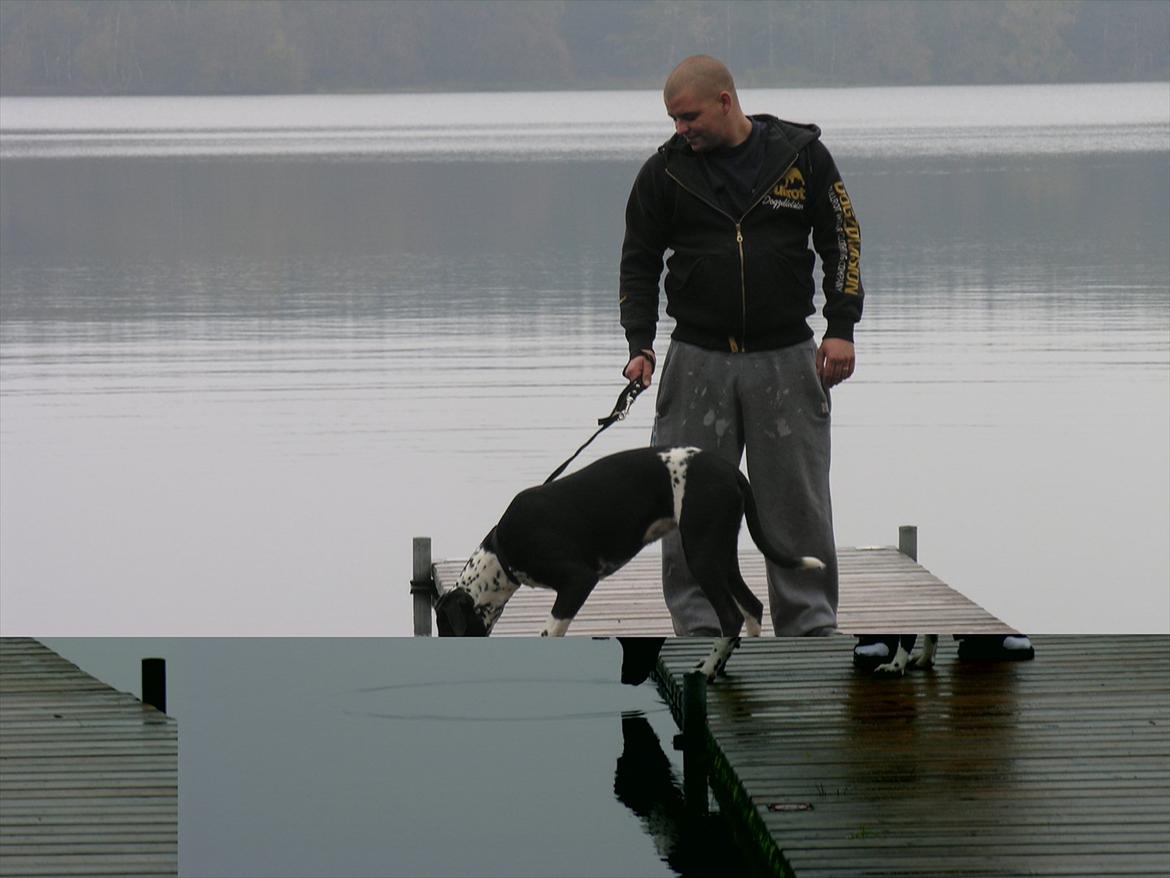 Blanding af racer Alberte billede 13