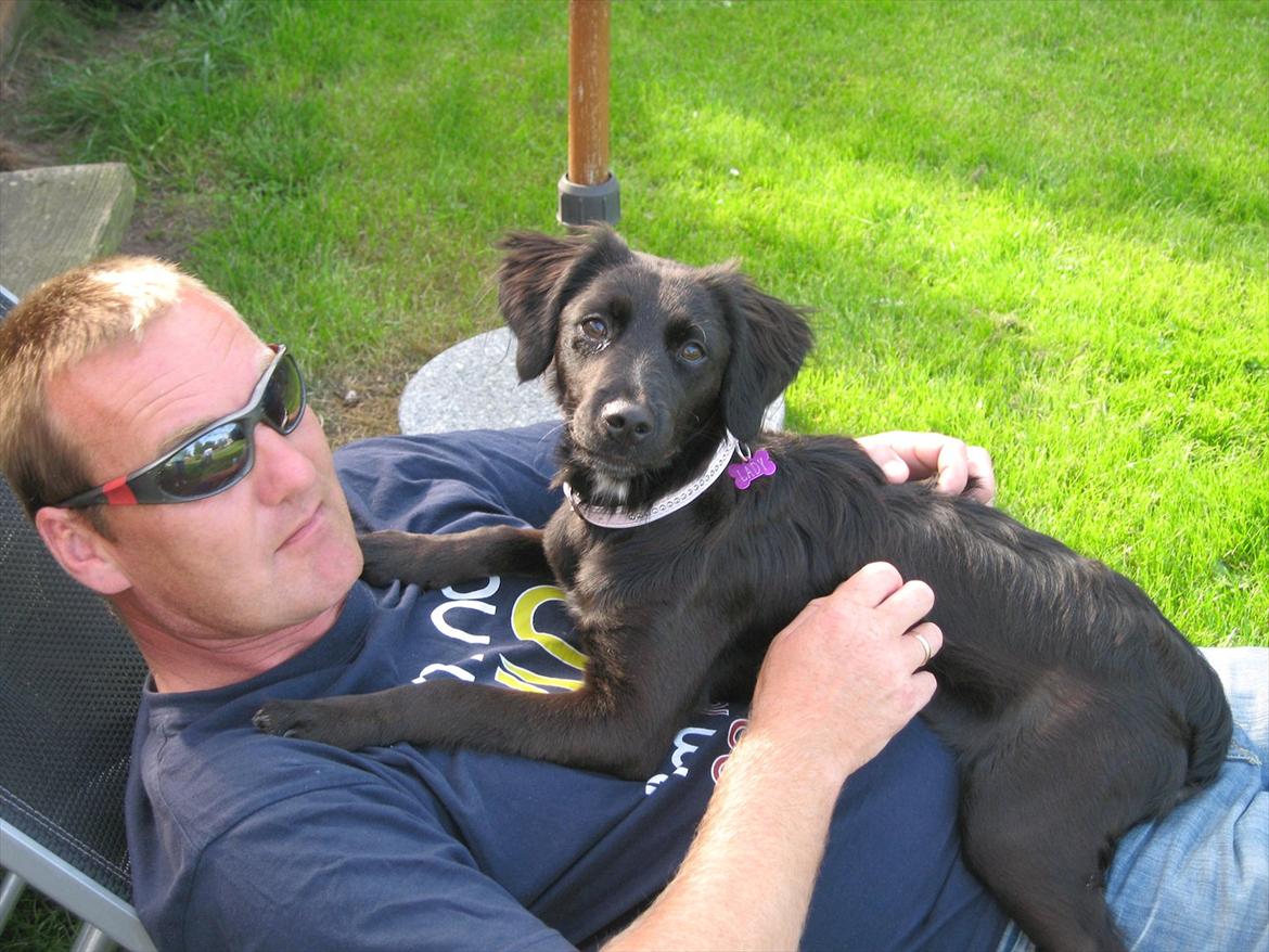 Markiesje Shedy-Lady - min far og shedy billede 14