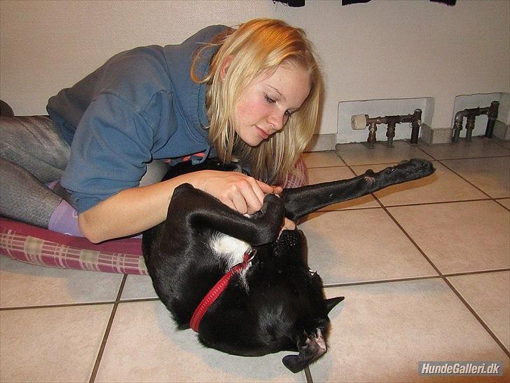 Blanding af racer Vicki - Så søøøøød!  billede 3