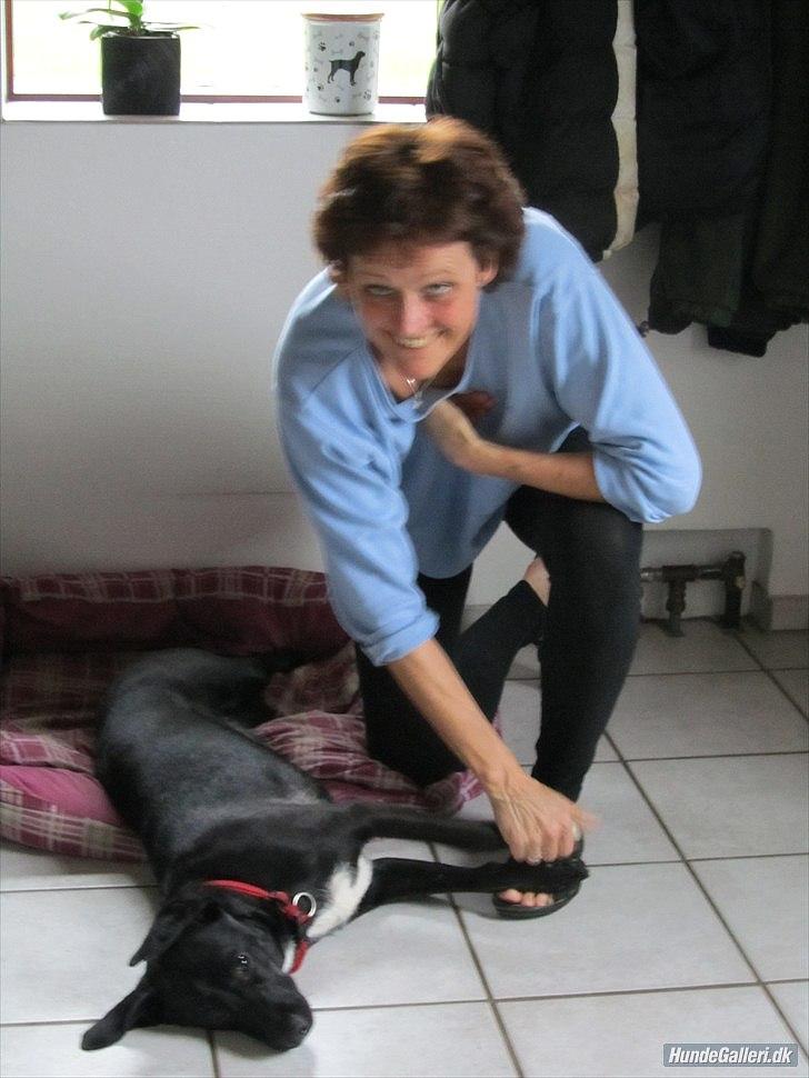 Blanding af racer Vicki - Hanne & Vicki. (:  billede 5