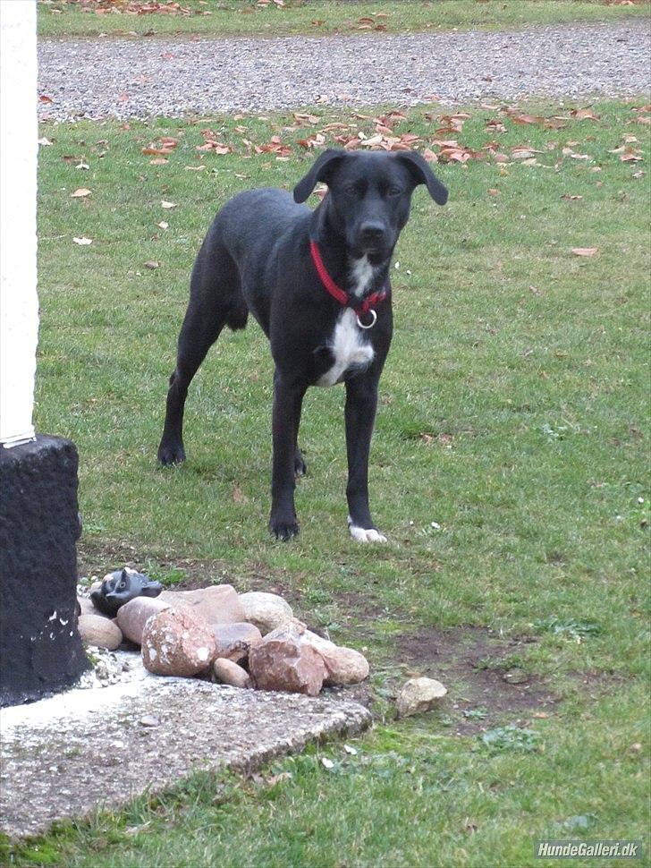 Blanding af racer Vicki - Hej med dig! (: Kan jeg ikke bare se søøød ud? I: billede 9