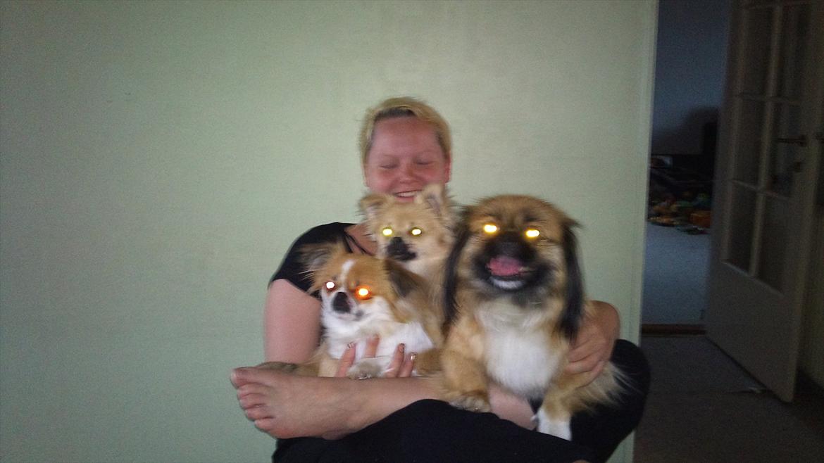 Blanding af racer Poppai - 3 generationer :-) billede 11