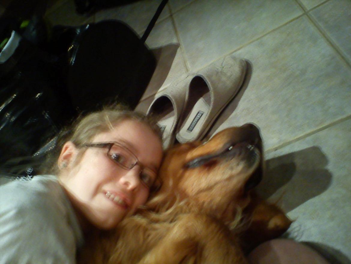 Golden retriever Basse<3<3 billede 18