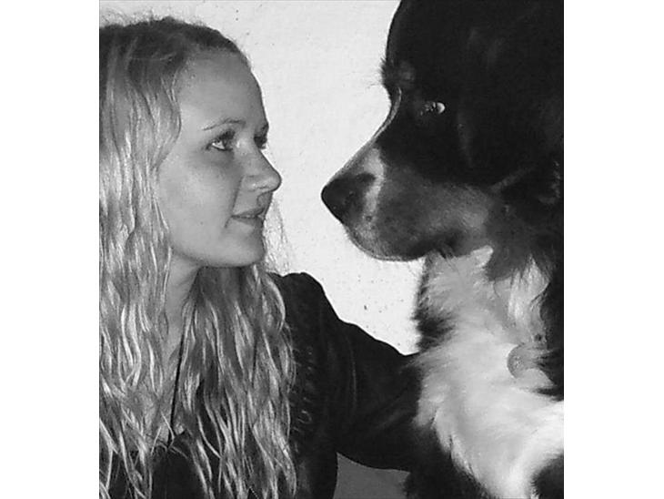 {{currentPhoto.altText}} billede {{currentPhoto.number}}