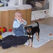 Blanding af racer Rita