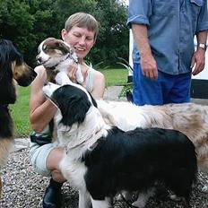 Australian shepherd Fie