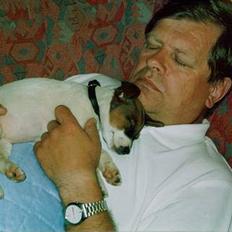 Dansk svensk gaardhund Bob