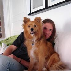 Blanding af racer Zico