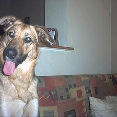 Blanding af racer Britney