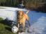 Labrador retriever Molly *R.I.P* - Her står hun og gør...