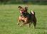 Blanding af racer Lilly - Hopla...