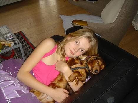 Gravhund Donna - Bedste veninder det et dælme hygge billede 16