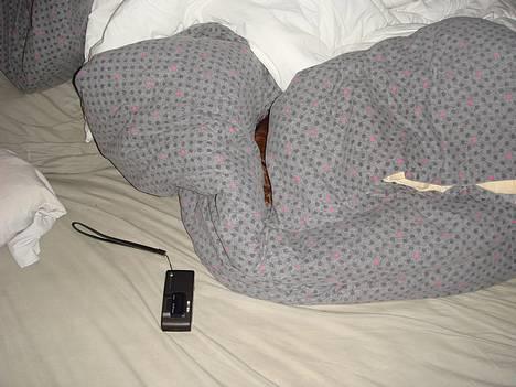 Gravhund Donna - Find mig HVOR er jeg???? billede 18