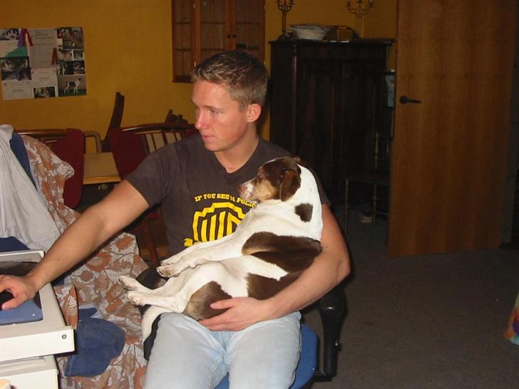 Dansk svensk gaardhund tjalfe - MINE TO SMUKKE DRENGE. billede 16