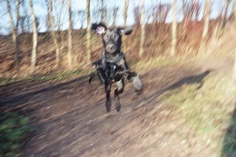 Blanding af racer Ricko - Jeg kommer efter dig. billede 5