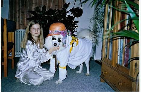 Samojedhund Ruska  - Mette og Ruska.... Er han ikke smart?? ;) billede 3