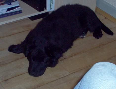 Blanding af racer Mads - booooring.. billede 7