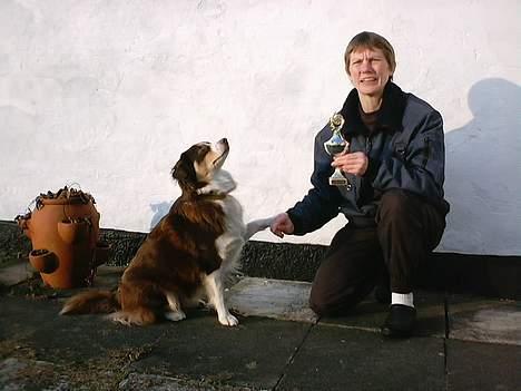 Australian shepherd Fie - Nå for da... Det var min pokal... Så er det vel OK, at være lidt Storsnudet :-)) billede 12