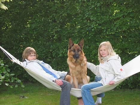 Schæferhund Bonnie <3 - Det var noget af en gyngetur jeg fik,, men sjov var det ;) billede 4
