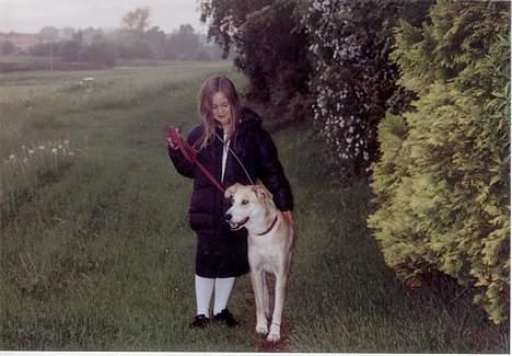 Blanding af racer Soffie - Ny i DK og på tur. billede 3