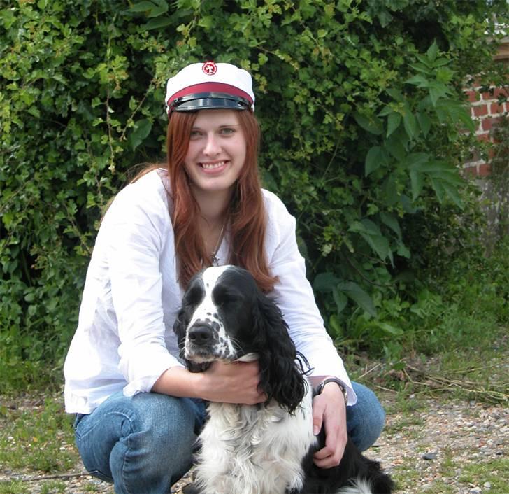 Engelsk springer spaniel Rowntree Indra at Zima - Et billede fra da jeg blev student billede 7