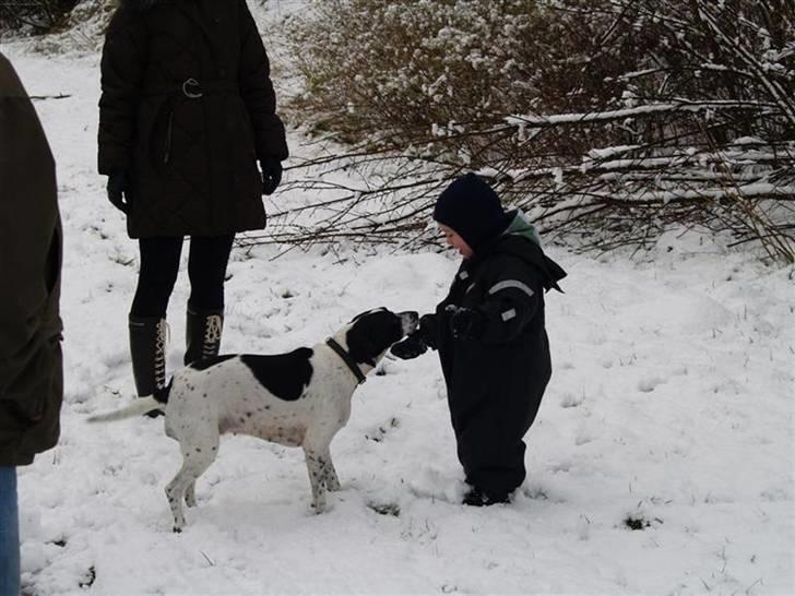 Blanding af racer                     Freja billede 6