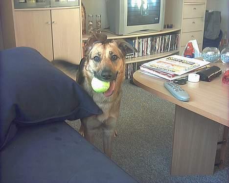 Blanding af racer Britney - Ska`vi lege? billede 1