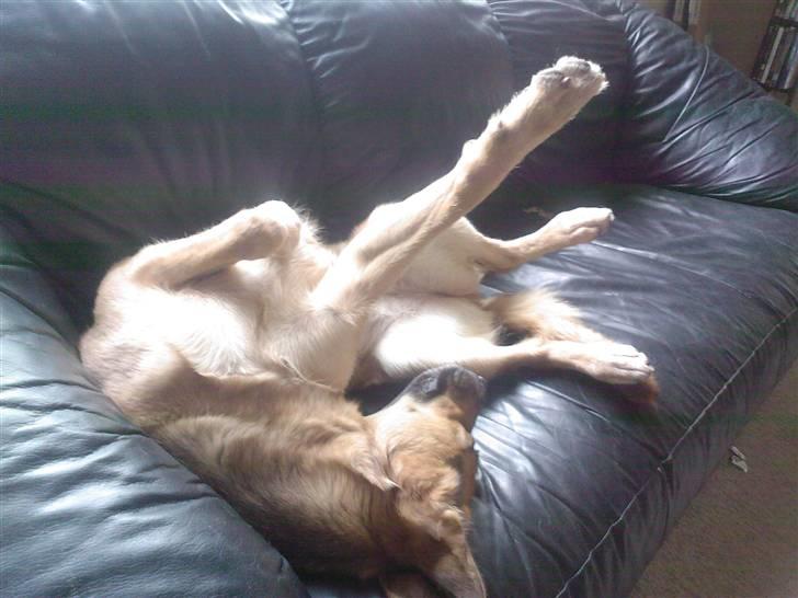 Blanding af racer Britney - Smiiil... billede 3