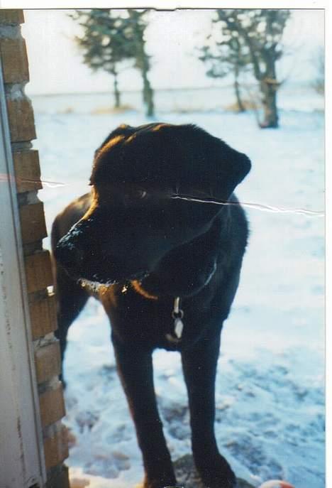 Blanding af racer spike billede 11