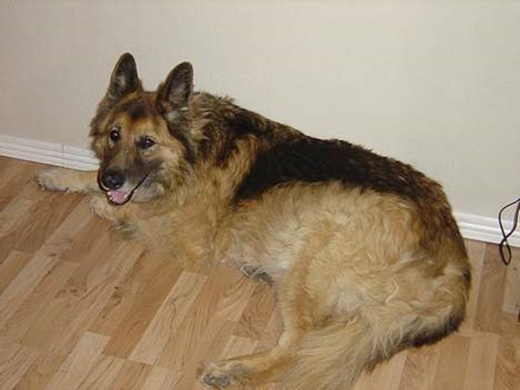 {{currentPhoto.altText}} billede {{currentPhoto.number}}