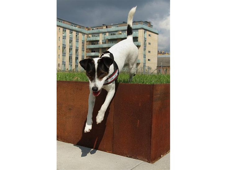 {{currentPhoto.altText}} billede {{currentPhoto.number}}