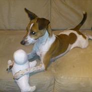 Blanding af racer Jones