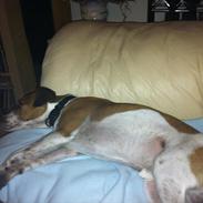 Blanding af racer Jones