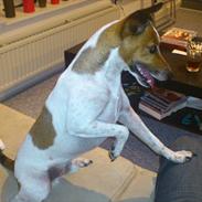 Blanding af racer Jones