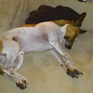 Blanding af racer Jones