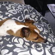 Blanding af racer Jones