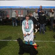Amerikansk cocker spaniel Birkely's Catch The Wind
