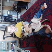 Blanding af racer Mollie