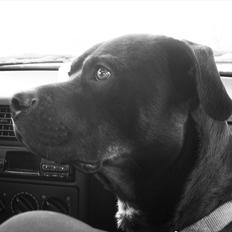 Blanding af racer Charley