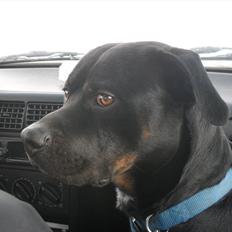 Blanding af racer Charley