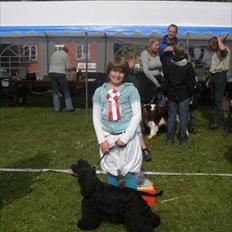 Amerikansk cocker spaniel Birkely's Catch The Wind 